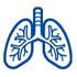 Lungs